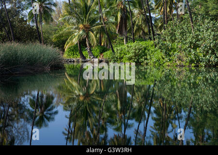 Blick auf Kiholo Bay, Hawaiis Big Island, Hawaii, USA Stockfoto