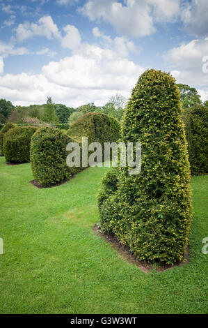 Abgeschnittene oder gestutzte Hecke in ein formaler englischer Garten. Stockfoto