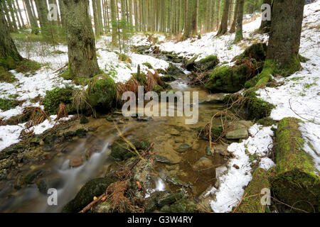 Bergbach im Wald im winter Stockfoto