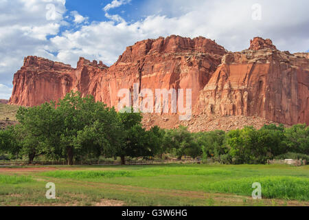 Die Burg am Capitol Reef National Park, Utah, USA Stockfoto