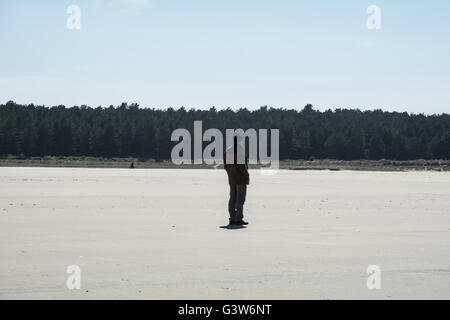 Eine Strand-Szene von Holkham Beach, Norfolk. Stockfoto