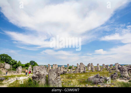 Pobiti Kamani, bekannt als The Steinwald, Naturdenkmal in einem Heiligen und kraftvoller Ort seit der Antike, Varna, Bulgarien Stockfoto