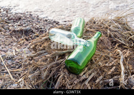 Klare, grüne Glasflaschen ruht auf Treibholz am Rande eines Sees Stockfoto