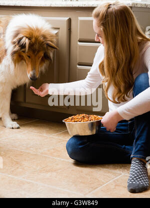 Teenager-Mädchen (14-15) Fütterung Collie Hund in Küche Stockfoto