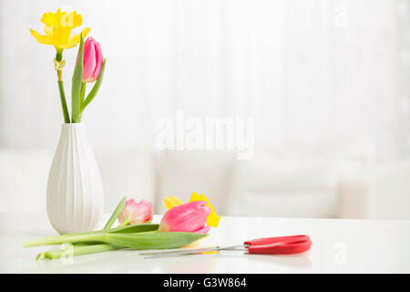 Strauß Tulpen und Narzissen in vase Stockfoto