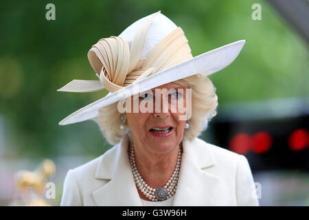 Die Herzogin von Cornwall tagsüber zwei Royal Ascot 2016 auf dem Ascot Racecourse. Stockfoto