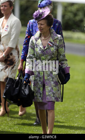 Princess Royal in den Parade-Ring vor dem Eröffnungsrennen auf am zweiten Tag des Royal Ascot 2016 auf dem Ascot Racecourse. Stockfoto