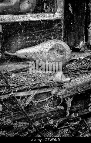 Birne auf einem faulen Holz Fensterbrett Fäulnis Stockfoto
