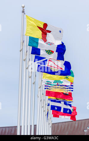 Bild von der kanadischen Flagge zusammen mit den Flaggen der 10 kanadischen Provinzen und die 3 kanadischen Territorien, in Ottawa, Kanada Stockfoto