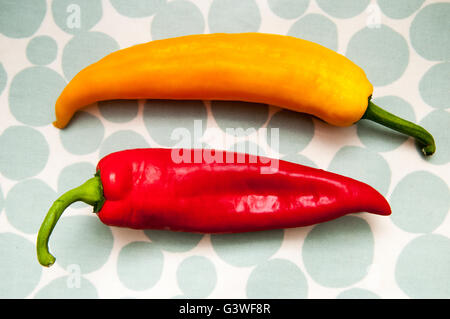 Zwei Paprika auf einem hellen gemusterten Hintergrund Stockfoto