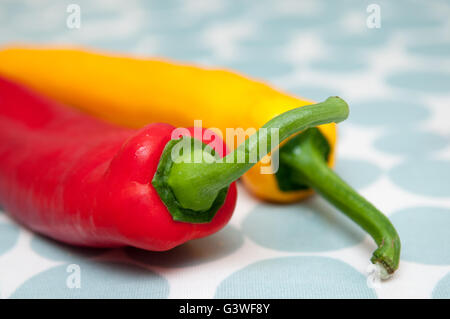 Zwei Paprika auf einem hellen gemusterten Hintergrund Stockfoto