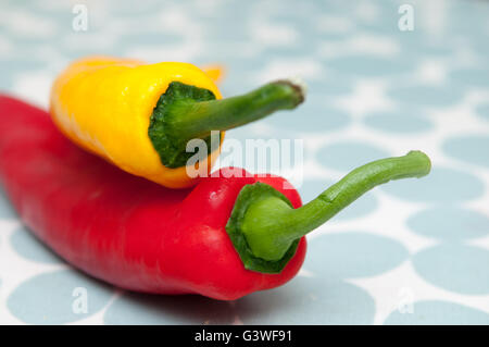 Zwei Paprika auf einem hellen gemusterten Hintergrund Stockfoto