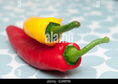 Zwei Paprika auf einem hellen gemusterten Hintergrund Stockfoto