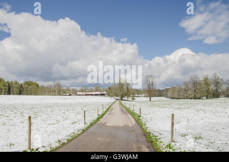 Vorfrühling im Voralpenland! Stockfoto