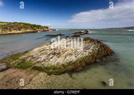 Bull Bay Isle of Anglesey im Frühling Stockfoto