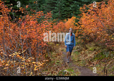 WASHINGTON - Wanderer auf eine Fallzeit Wanderung zum Easy Pass im Abschnitt Okanogan-Wenatchee National Forest in den North-Cascades. Stockfoto