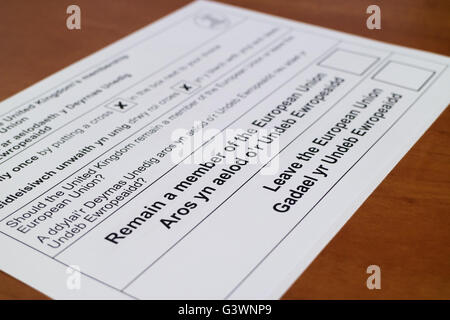 Eine zweisprachige (Welsh/Englisch) Briefwahl Papier für 2016 EU-Referendum in Großbritannien. Briefwahl Papiere begann in ankommen Stockfoto