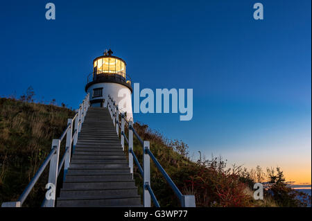 Eulen Kopf Licht, Maine, USA Stockfoto