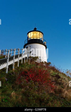 Eulen Kopf Licht, Maine, USA Stockfoto