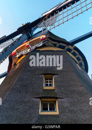 Die berühmten Delphine/De Oostzijdse Molen Windmühle am Fluß Gein, in der Nähe von Abcoude, Utrecht, Niederlande. Bilder von diesem wi Stockfoto