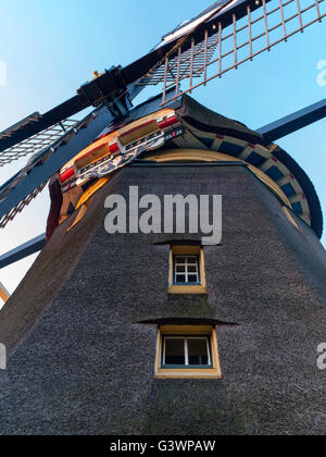 Die berühmten Delphine/De Oostzijdse Molen Windmühle am Fluß Gein, in der Nähe von Abcoude, Utrecht, Niederlande. Bilder von diesem wi Stockfoto