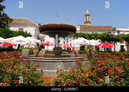 Brunnen und Bürgersteig Cafés auf dem Plaza Las Flores, Estepona, Provinz Malaga, Andalusien, Spanien, Westeuropa. Stockfoto