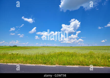 Grünes Feld mit Windmühlen in einem Abstand von der Straße gesehen. Stockfoto