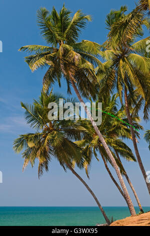 Varkala Kerala Indien Stockfoto