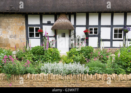 Strohgedeckten Fachwerk schwarz-weiß Haus und Garten. Ashton unter Hill, Wychavon Bezirk, Worcestershire, UK Stockfoto