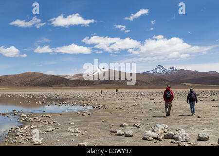 Sajama Nationalpark, Bolivien - 27. Oktober 2015: Touristen zu Fuß im Sajama Nationalpark Stockfoto