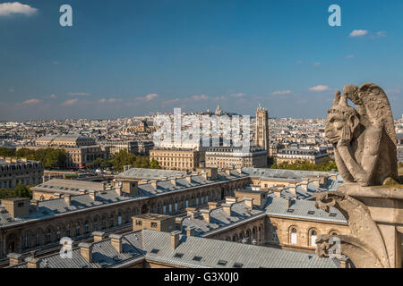 Ansicht von Paris vom Turm der Kathedrale Notre-Dame Stockfoto