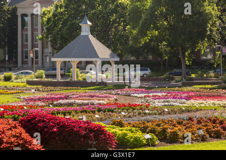 Die Gäste sehen Trial Blumengarten an der Colorado State University 25. Juli 2015 in Fort Collins, Colorado. Der Garten ist für die Ertragskraft der verschiedenen jährlichen Pflanze Sorten unter den einzigartigen Rocky Mountain Umweltbedingungen. Stockfoto