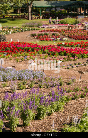 Die Gäste sehen Trial Blumengarten an der Colorado State University 25. Juli 2015 in Fort Collins, Colorado. Der Garten ist für die Ertragskraft der verschiedenen jährlichen Pflanze Sorten unter den einzigartigen Rocky Mountain Umweltbedingungen. Stockfoto