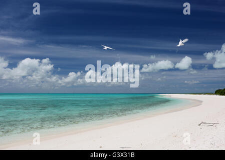 White Sand Beach auf Cook Insel, Weihnachtsinsel, Kiribati Stockfoto