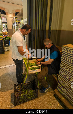 Zwei Männer Beschuss frische Erbsen im Mercato Delle Erbe in Bologna, Italien Stockfoto