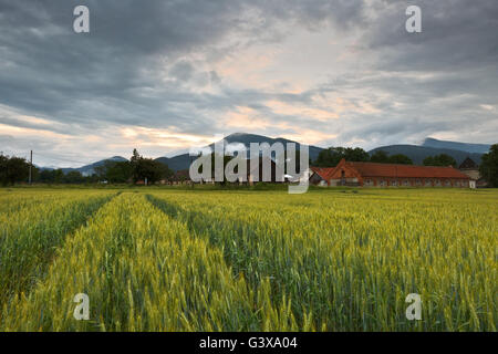Dorf und die Berge in der Region Turiec nach einem Sommergewitter, Nordslowakei. Stockfoto