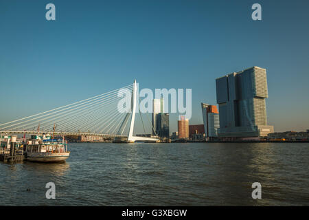 Erasmusbrücke in Rotterdam Niederlande Stockfoto