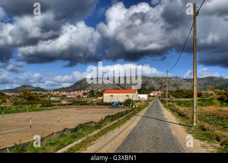 Gerade Straße nahe dem Strand in Viana Do Castelo, Portugal Stockfoto