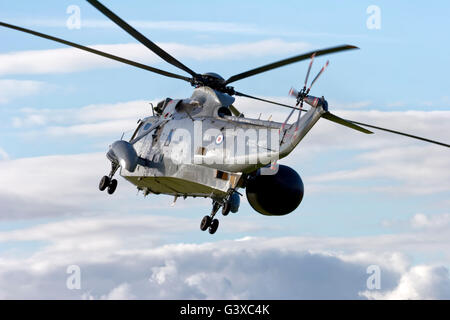 Ein Royal Navy Westland Sea King ASAC.7 (Airborne Überwachung und Kontrolle) XV707 bei der Royal Naval Air Station Yeovilton Interna Stockfoto