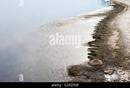 Strand mit schmutzigen Algen durch stilles Wasser mit ein paar Felsen im Vordergrund. Stockfoto