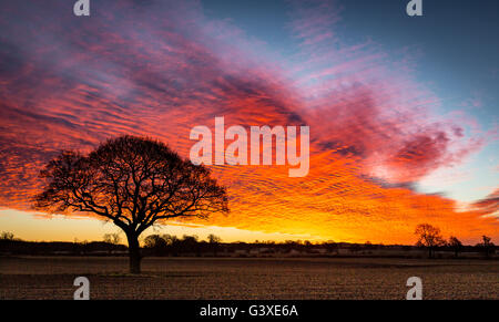 Morgen rühren dramatischen Himmel über Feld Stockfoto