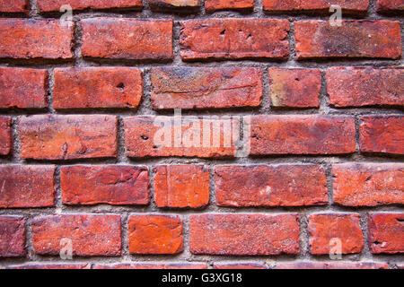 Mauer aus roten Ziegelsteinen Stockfoto