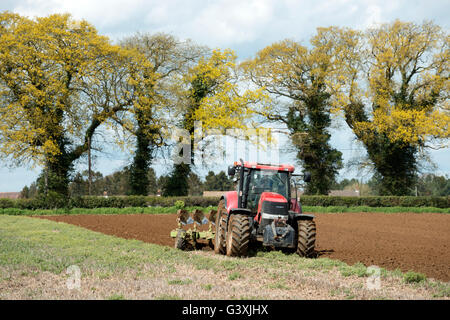 Ackerland gepflügt werden, Sutton, Suffolk, UK. Stockfoto