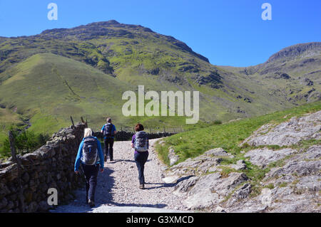 Drei Wanderer in Richtung in Richtung Oxendale mit den Wainwright Berg Hecht von Blisko vor ihnen im Langdale, Cumbria UK Stockfoto