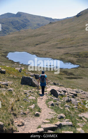 Einsame Dame zu Fuß auf Weg zum roten Tarn von Wainwright Hecht von Blisko in Lake District National Park, Cumbria, England Stockfoto