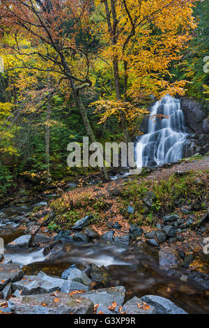 Deer Hollow Brook Kaskaden über Felsen zu bilden Moos Glen fällt, Addison Co., VT Stockfoto