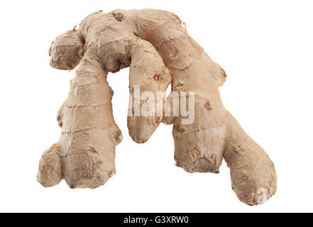 Ingwer-Gewürz-Wurzel isoliert auf weißem Hintergrund Stockfoto