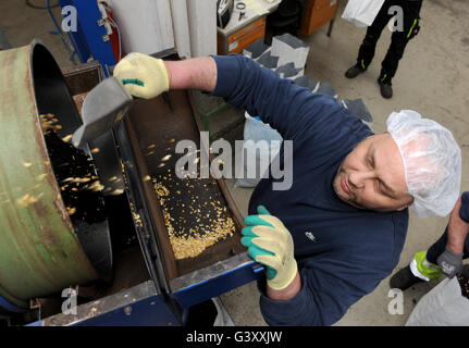 Ein Bild vom 25. Mai 2016 zeigt Angestellter der Spedition Vollers in Bremen, Deutschland, schwarzer Tee Kugel Zitrus Aroma hinzufügen. Mehr und mehr wird Tee nicht nur als Getränk, sondern auch als Zutat verwendet. In einer geführten Tour, organisiert von der Bremer Hafenmuseum können sich Besucher über Tee informieren. Foto: Ingo Wagner/dpa Stockfoto