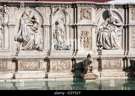 Fontana Gaia Piazza del Campo Siena. Ersten Brunnen wurde im 1342, erbaut, seit 1419 die tatsächlichen Aspekt übernommen. Stockfoto