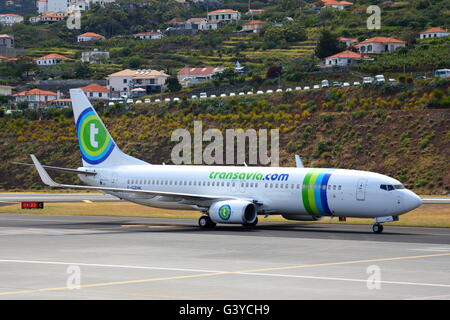 Transavia France Boeing 737-800 F-GZHK mit Ankunft am Flughafen von Funchal, Madeira, Portugal Stockfoto